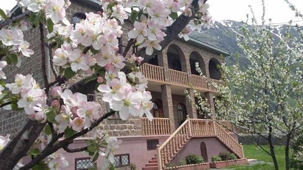 Max Hotel Gogi Alibegashvili Kazbegi Exterior photo
