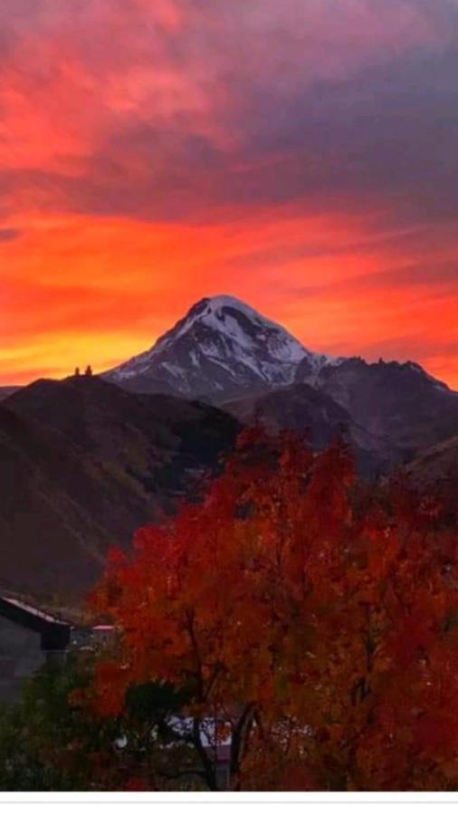 Max Hotel Gogi Alibegashvili Kazbegi Exterior photo